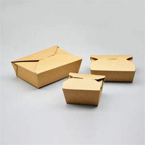 Take Away Boxes