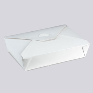 WhiteTake Away Box-02