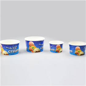 Ice Cream Cup-4oz/ 6oz / 8oz/12oz